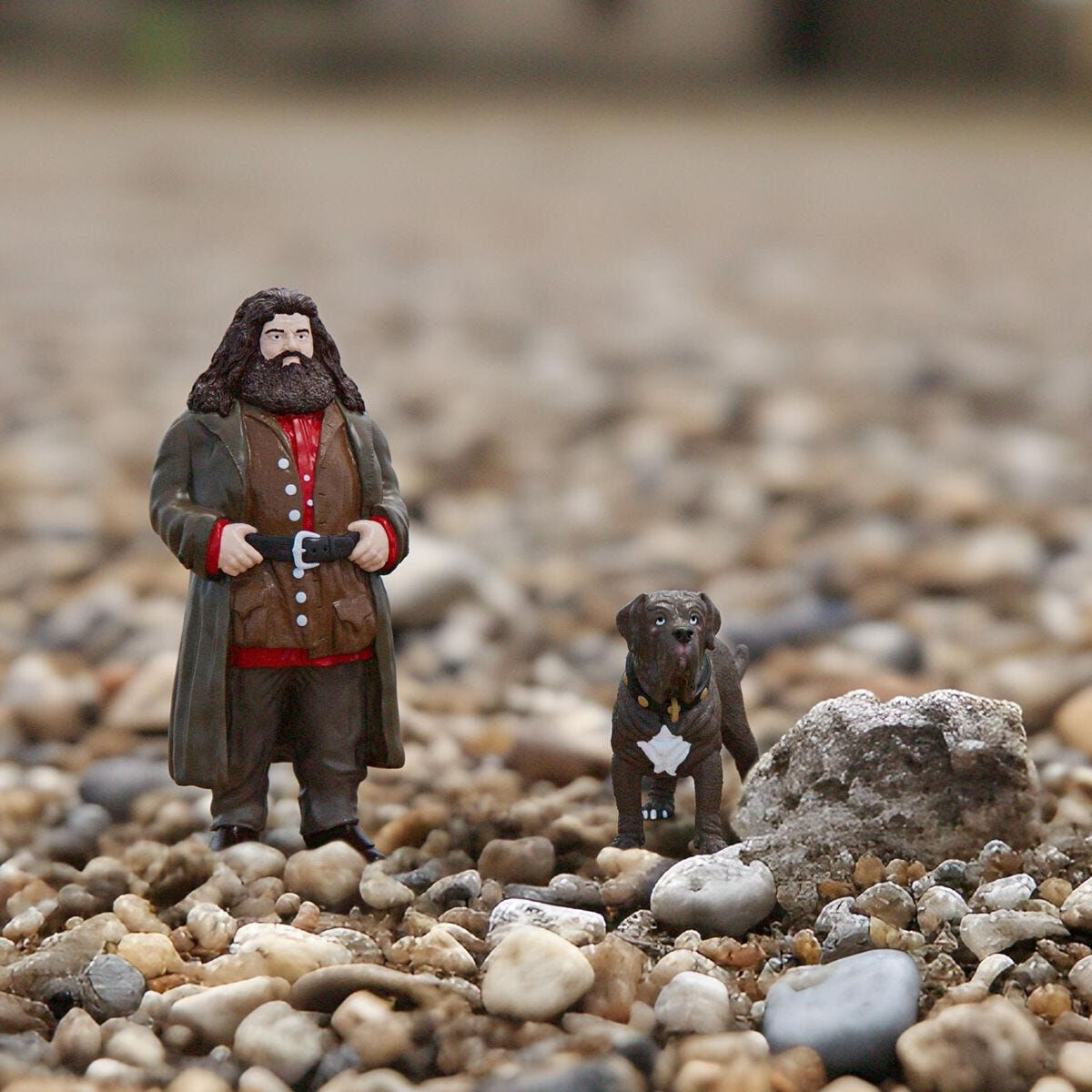 Sats med figurer Harry Potter Hagrid & Fang - 4