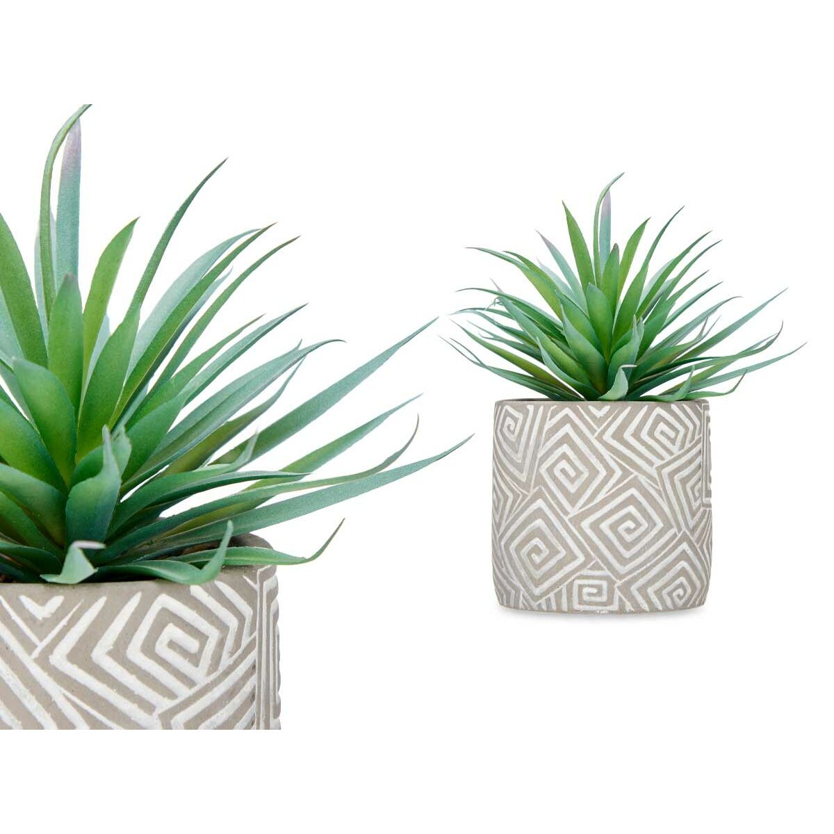 Dekorativ växt Ibergarden Trä Polyetylen Plast Cement Suckulent 17 x 21 x 17 cm (8 antal) - 6