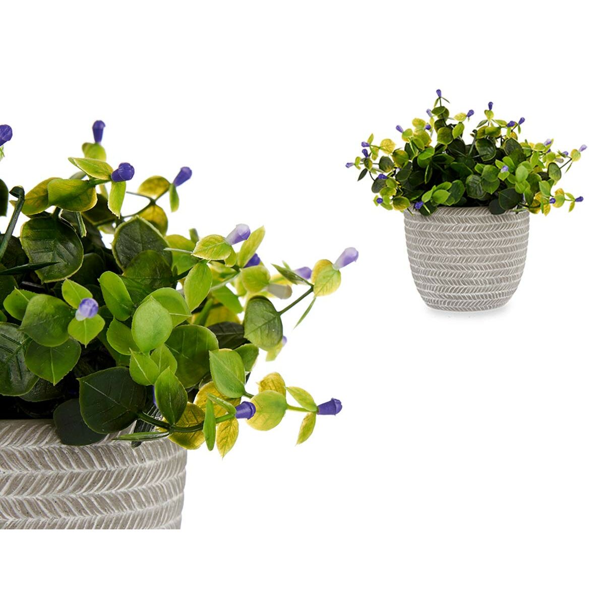 Dekorativ växt Ibergarden Plast Virágok 21 x 20,6 x 21 cm (8 antal) - 6