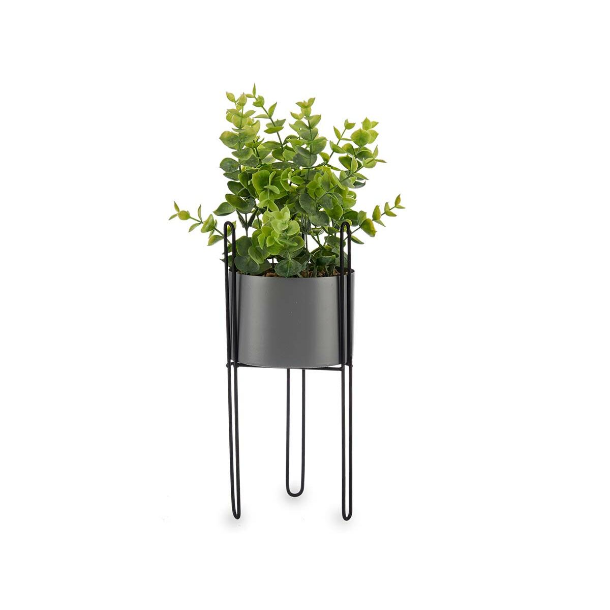 Dekorativ växt Ibergarden Metall Plast Eukalyptus 14 x 40 x 14 cm (8 antal) - 3