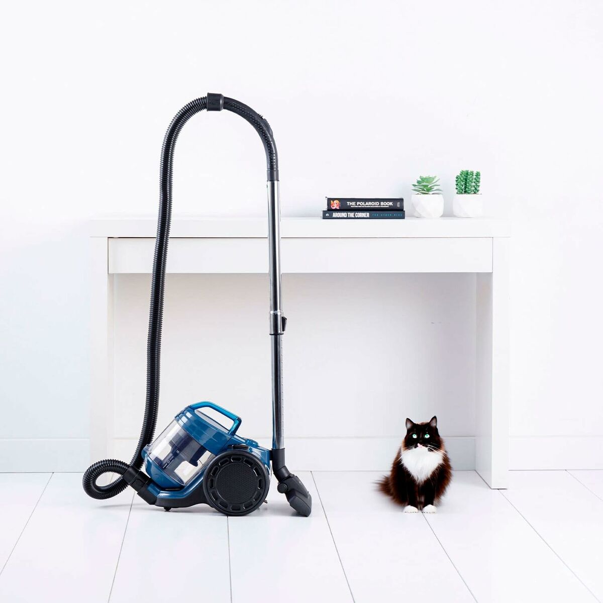 Utsug Taurus HOMELAND CYC AN Svart 800 W - 2