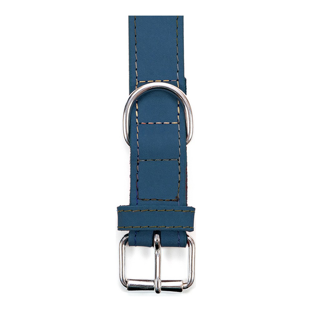 Hundhalsband Gloria Oasis Blå (55 x 2,5 cm) - 4