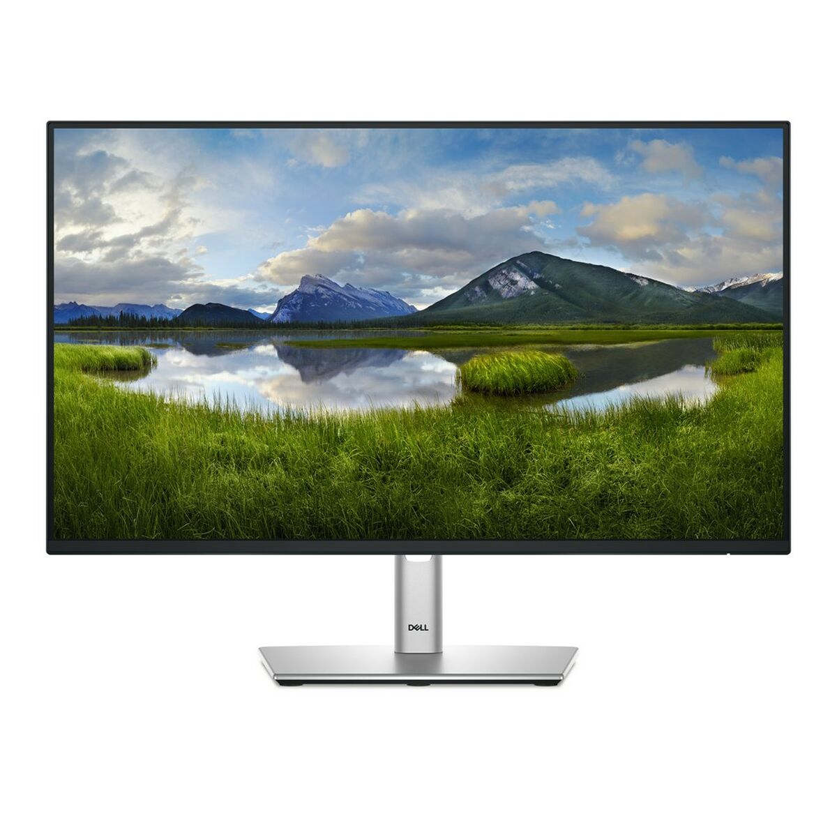 Monitor Dell P2425H Full HD 24" 100 Hz - 4