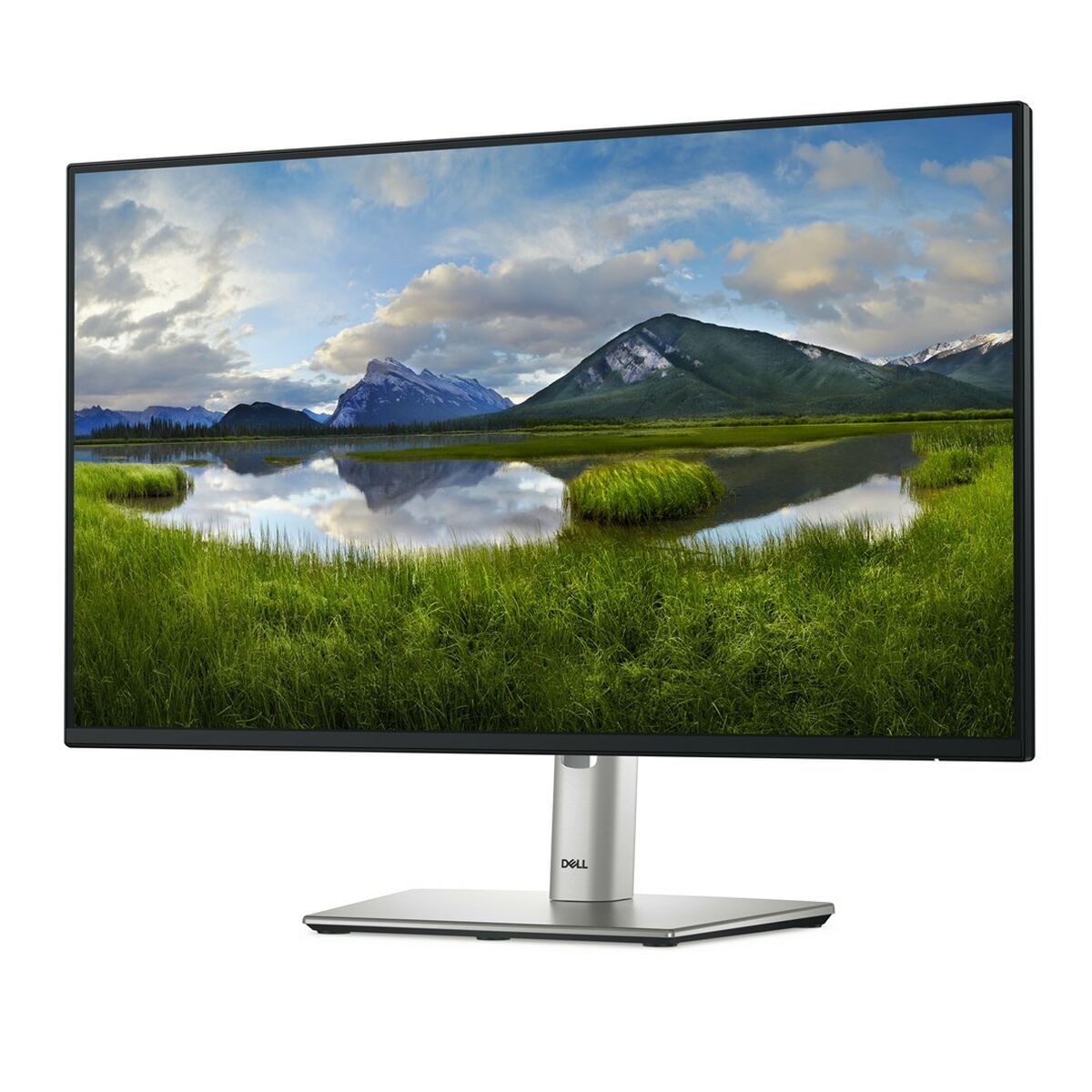 Monitor Dell P2425H Full HD 24" 100 Hz - 3
