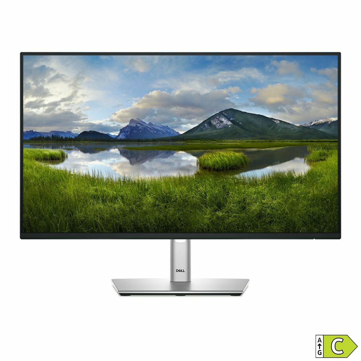 Monitor Dell P2425H Full HD 24" 100 Hz - 2