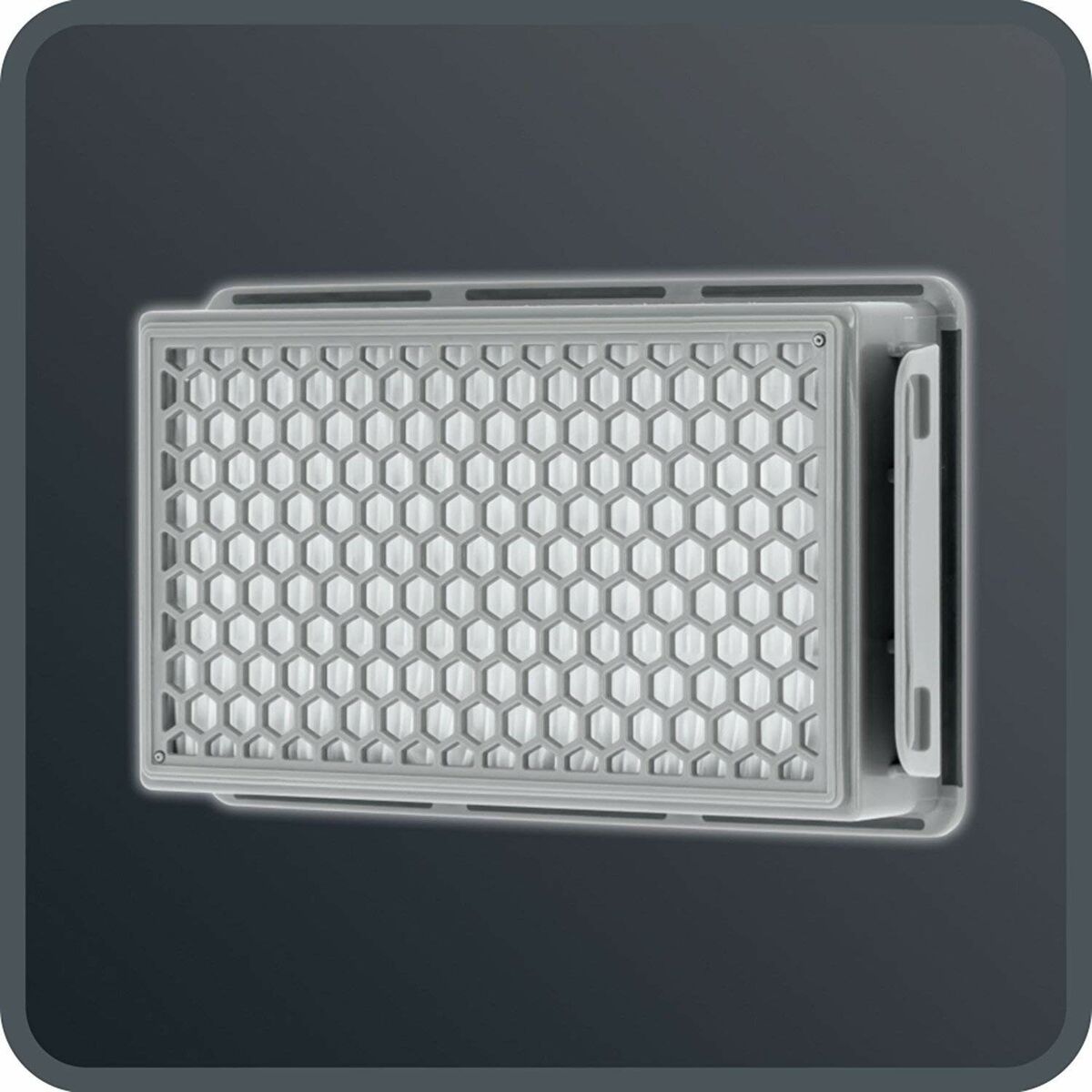 Dammsugare med Påse Rowenta 900 W - 7