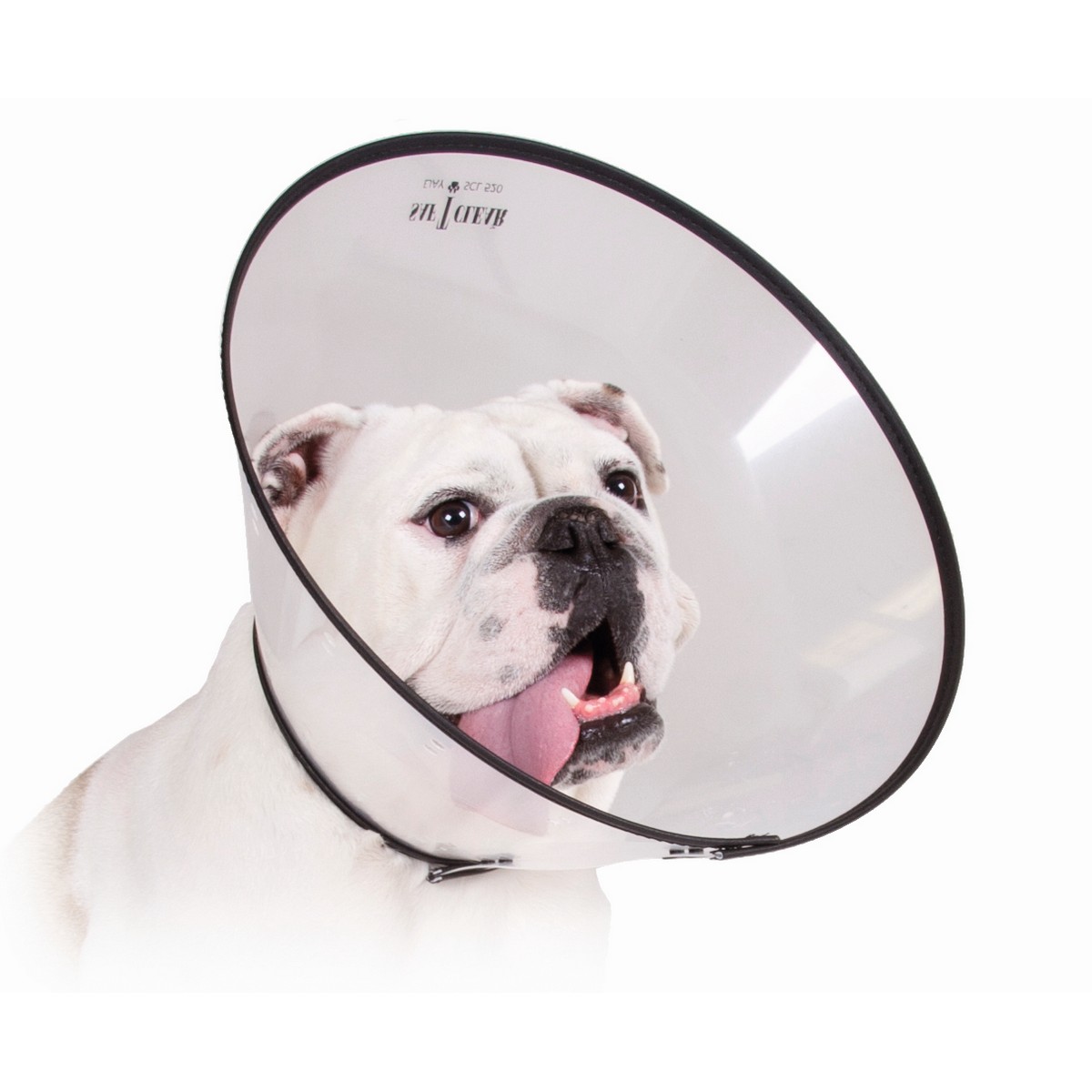 Elizabethan Hundhalsband KVP Saf-T-Clear (38-63 cm) - 2