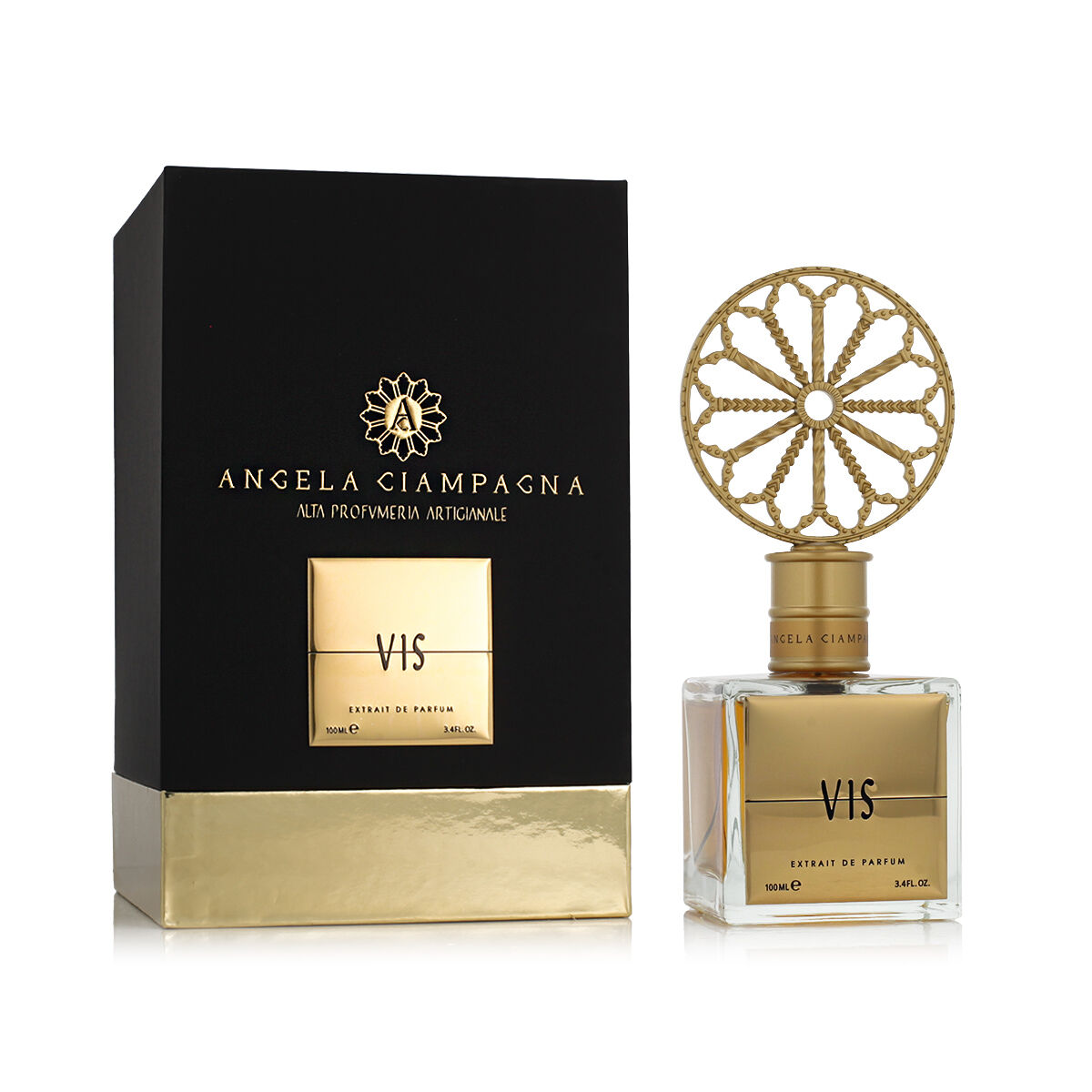Parfym Unisex Angela Ciampagna Vis 100 ml