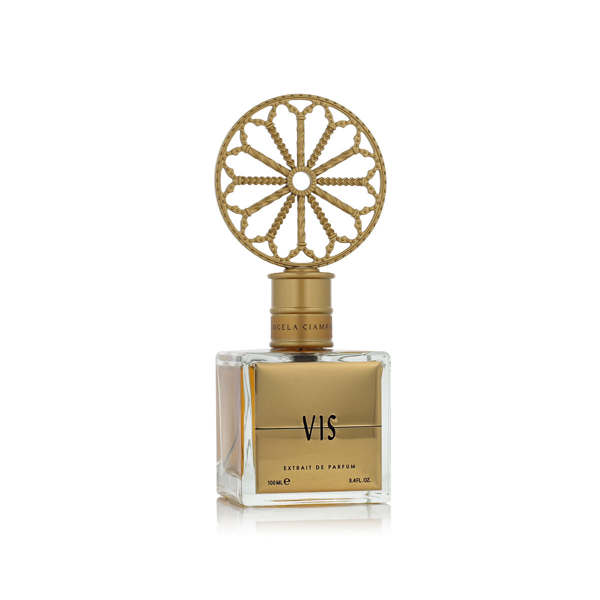 Parfym Unisex Angela Ciampagna Vis 100 ml - 2