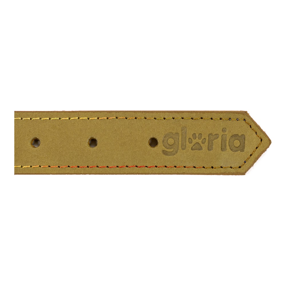 Hundhalsband Gloria Oasis Grön (60 x 3 cm) - 2