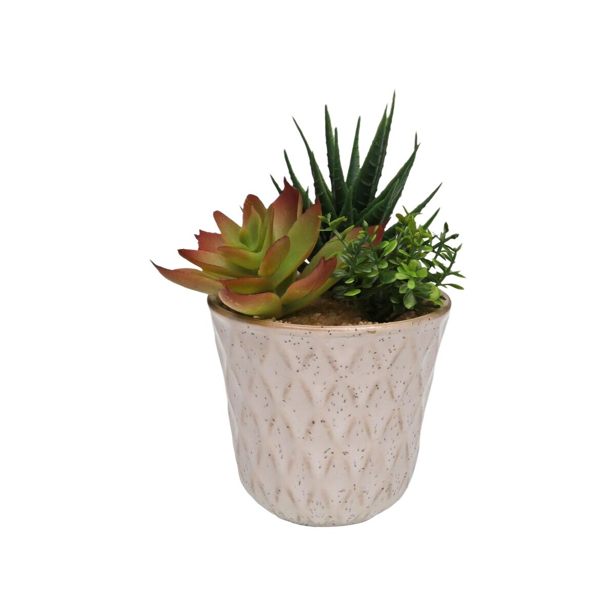 Dekorativ växt Versa Keramik Plast Fusion Suckulent 7,8 X 14 X 7,8 CM - 2