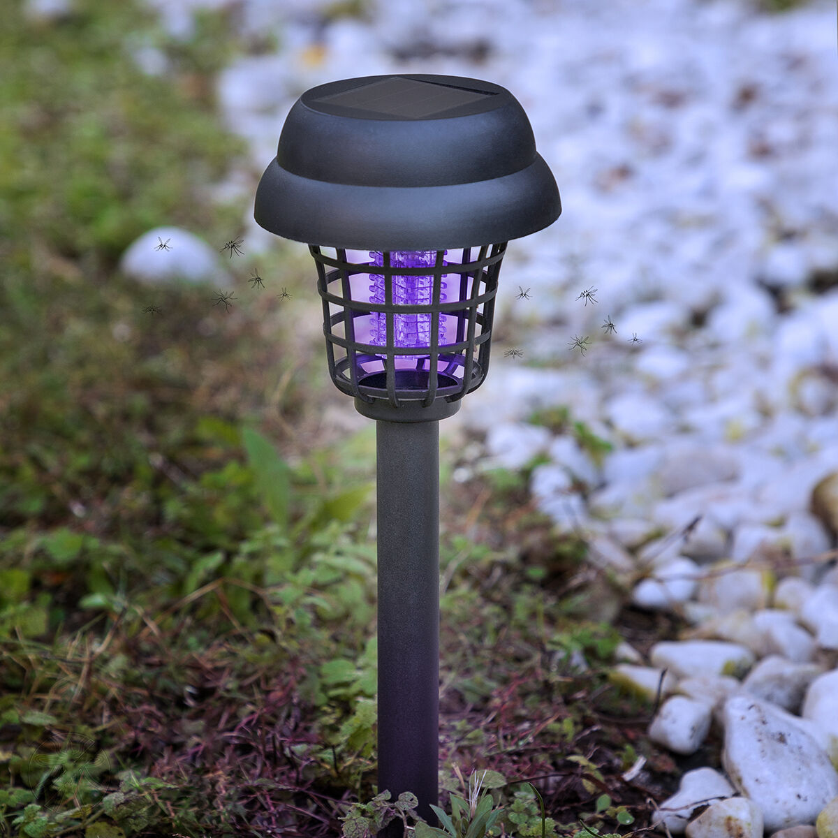 Myggdödande Solar Garden Lamp Garlam InnovaGoods - 9