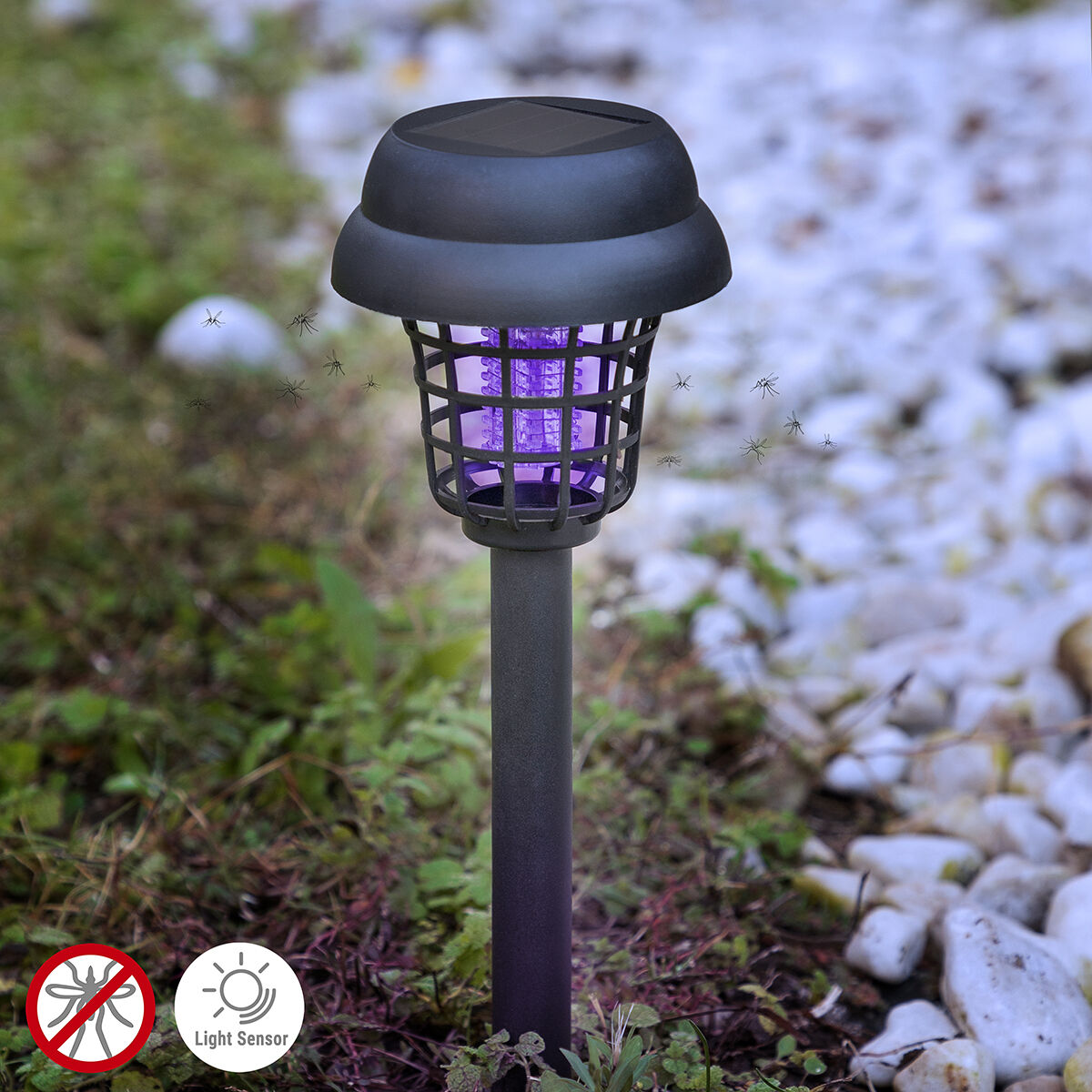 Myggdödande Solar Garden Lamp Garlam InnovaGoods - 8