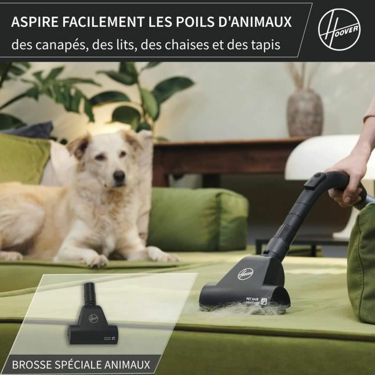 Utsug Hoover HE120PET 011 Svart Grå 700 W - 6