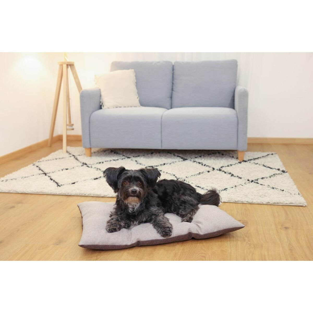 Kattsäng Kerbl 80462 Beige Brons - 7