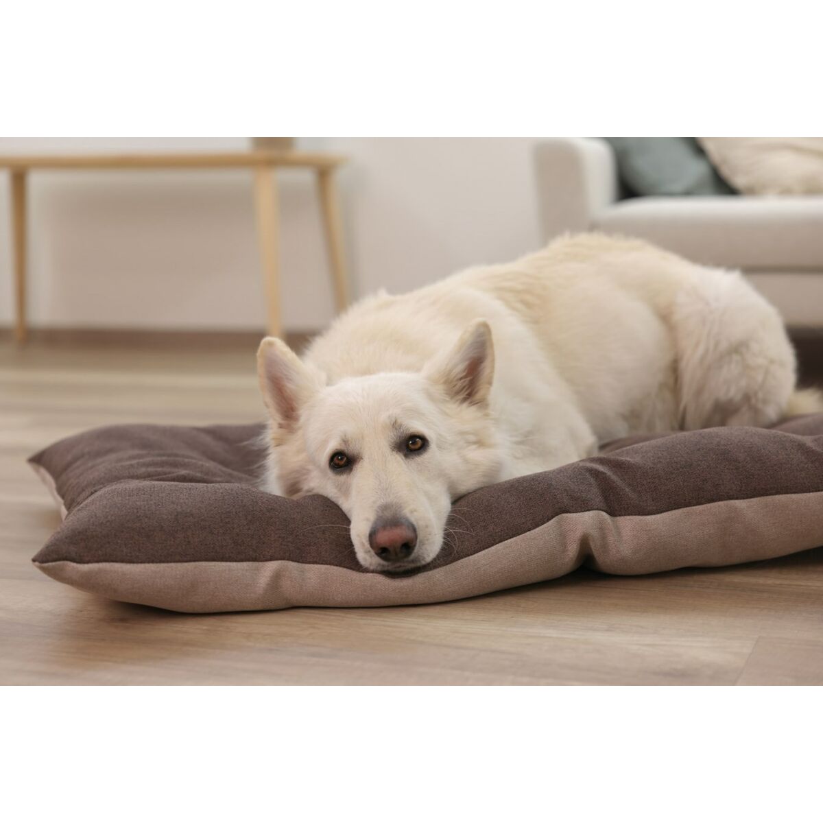 Kattsäng Kerbl 80462 Beige Brons - 8