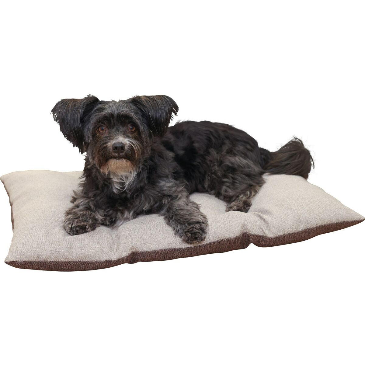 Kattsäng Kerbl 80462 Beige Brons - 5