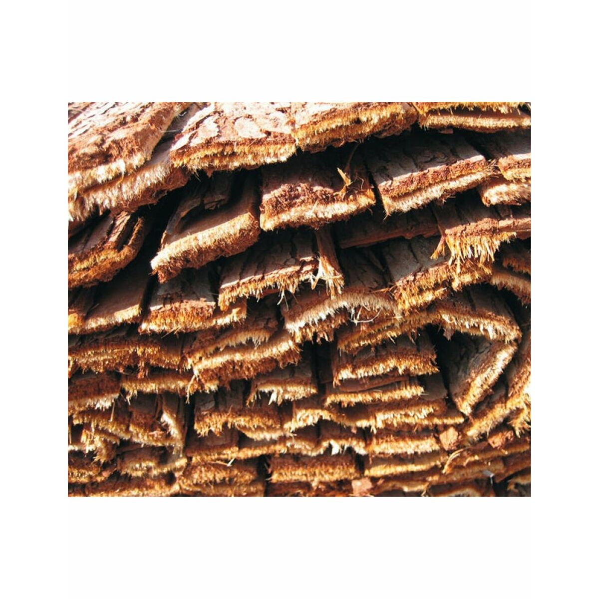 Rotting Faura f27101 Brun Gran Kábeltelevízió Bark 1 x 3 m - 2