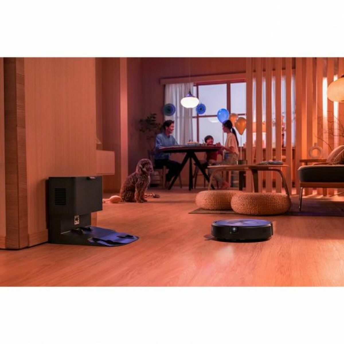 Robotdammsugare iRobot - 6
