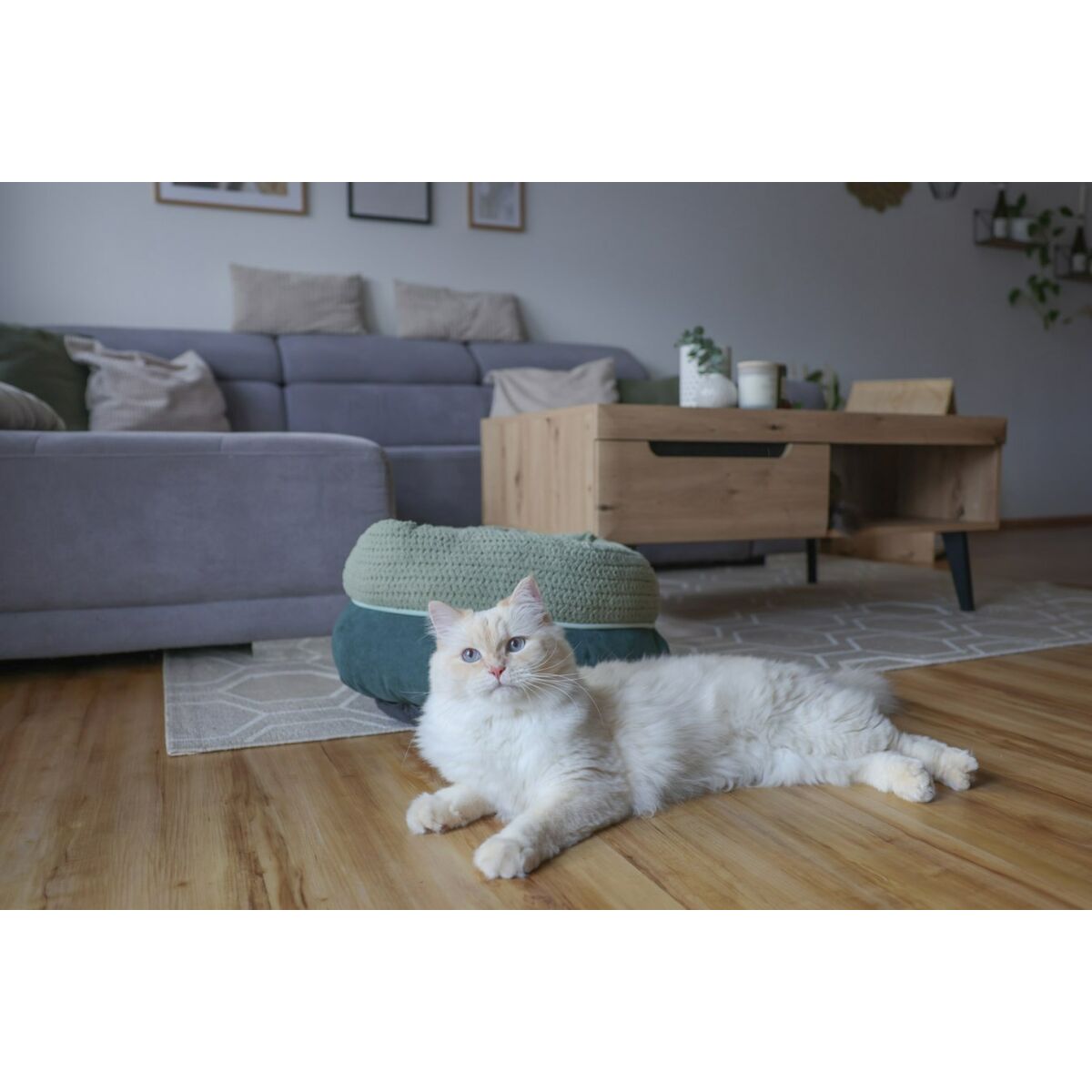 Kattsäng Kerbl 80928 Grön - 3