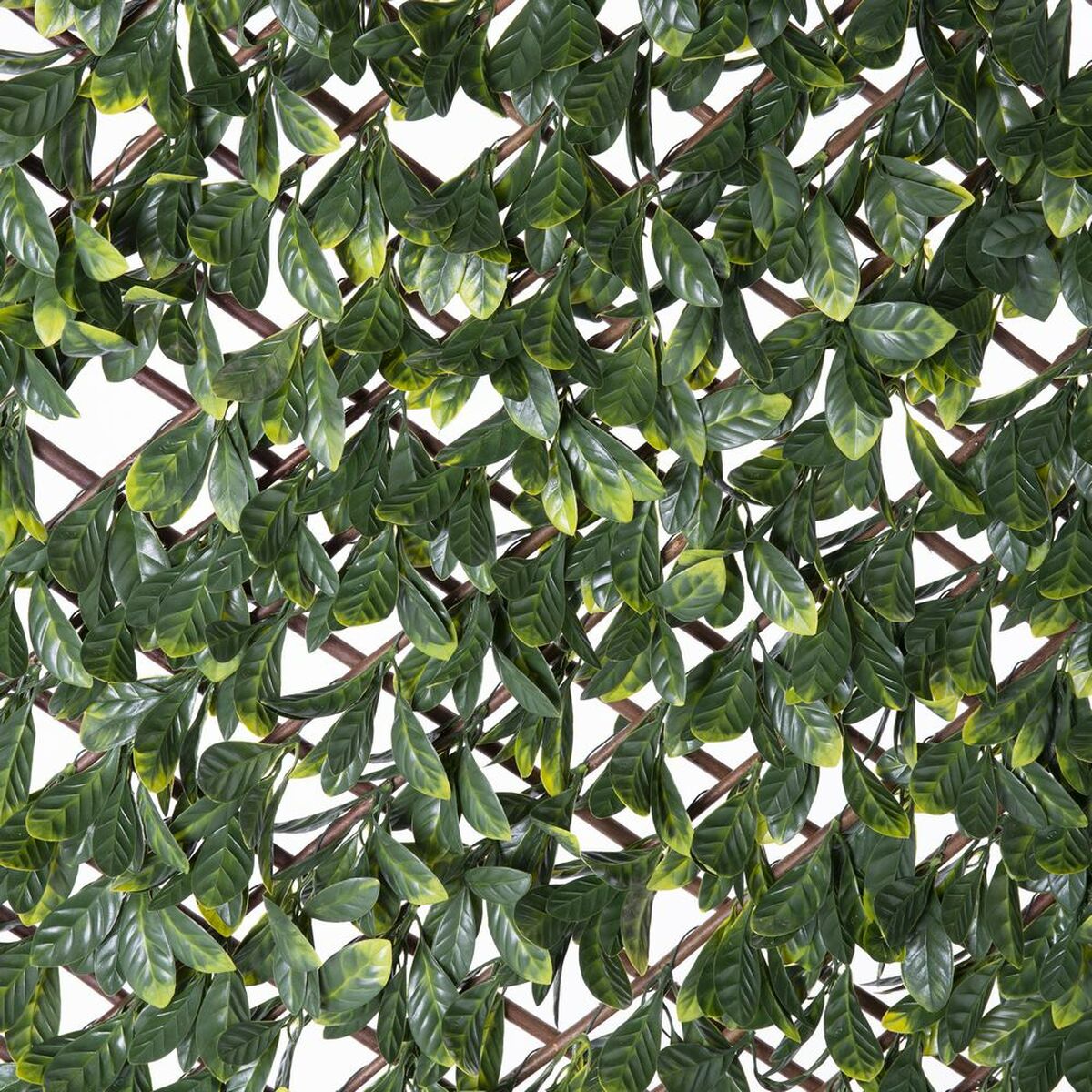 Gitter Natural Laurel vide Bambu 2 x 200 x 100 cm - 2