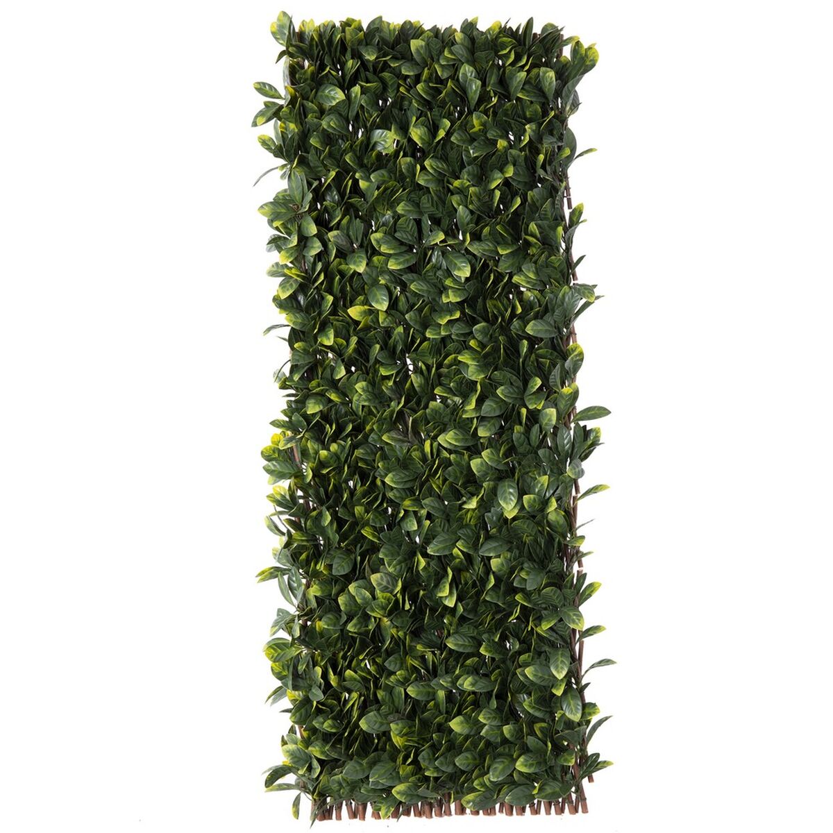 Gitter Natural Laurel vide Bambu 2 x 200 x 100 cm - 3