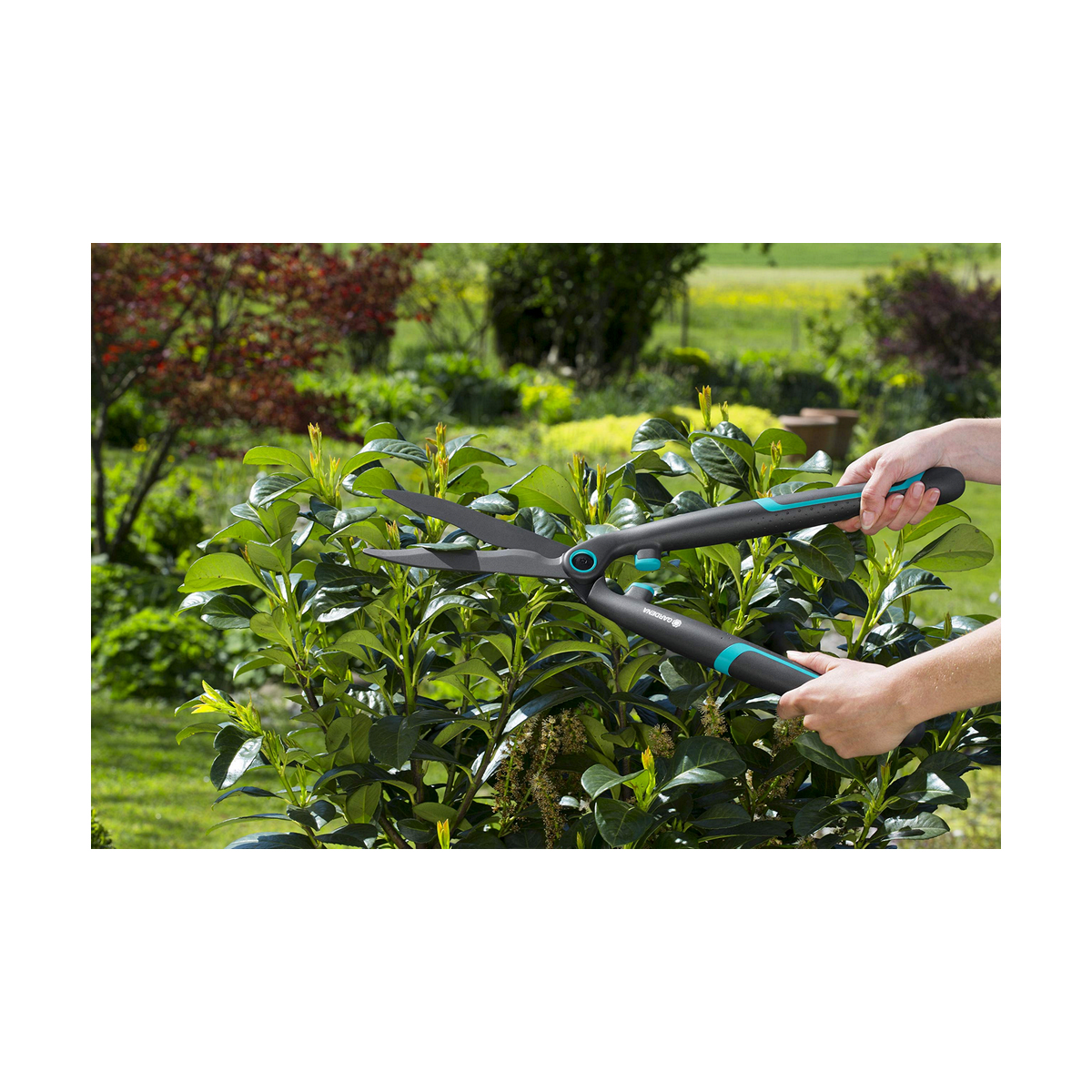 Häcktrimmer Gardena  easycut 12301-20 - 4