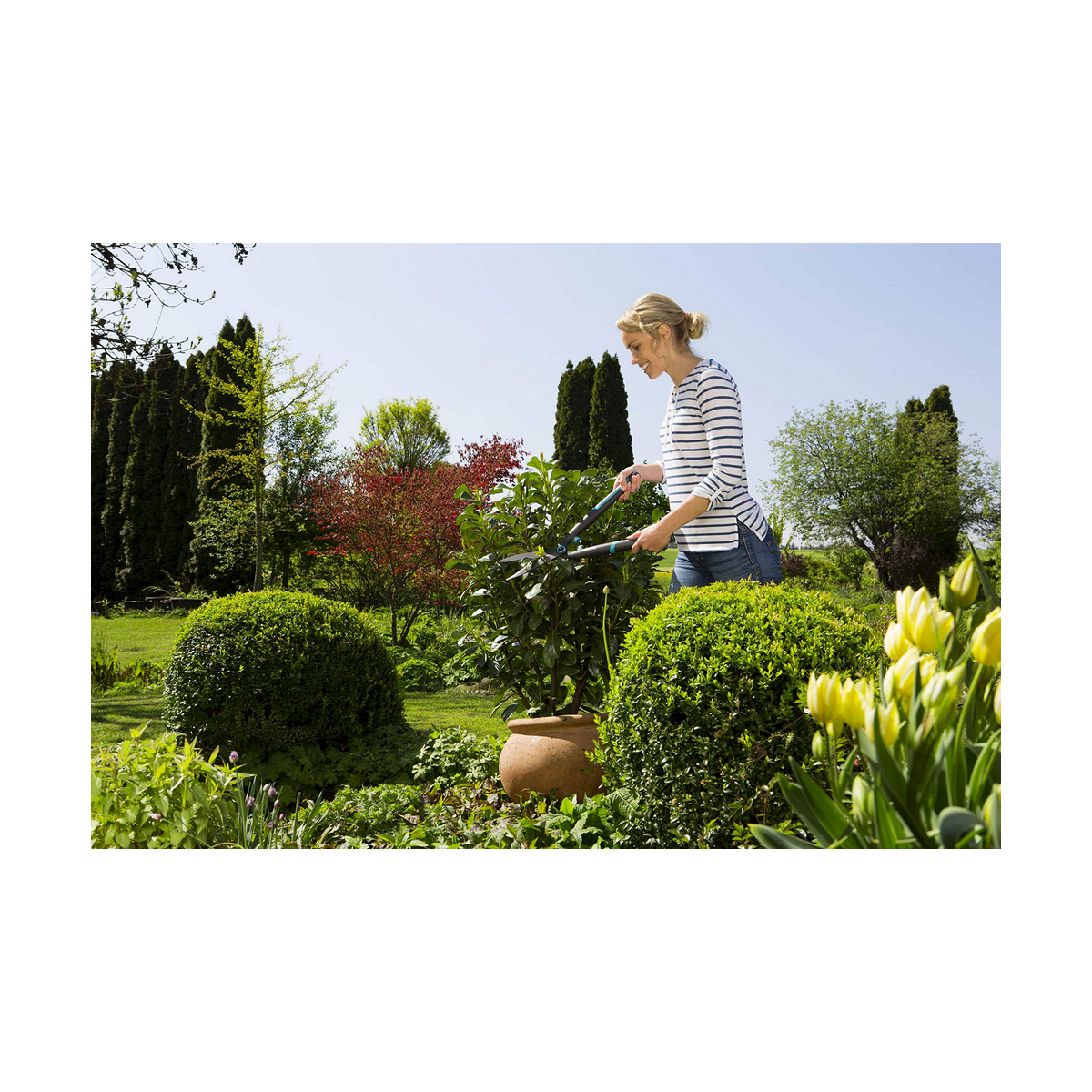 Häcktrimmer Gardena  easycut 12301-20 - 3