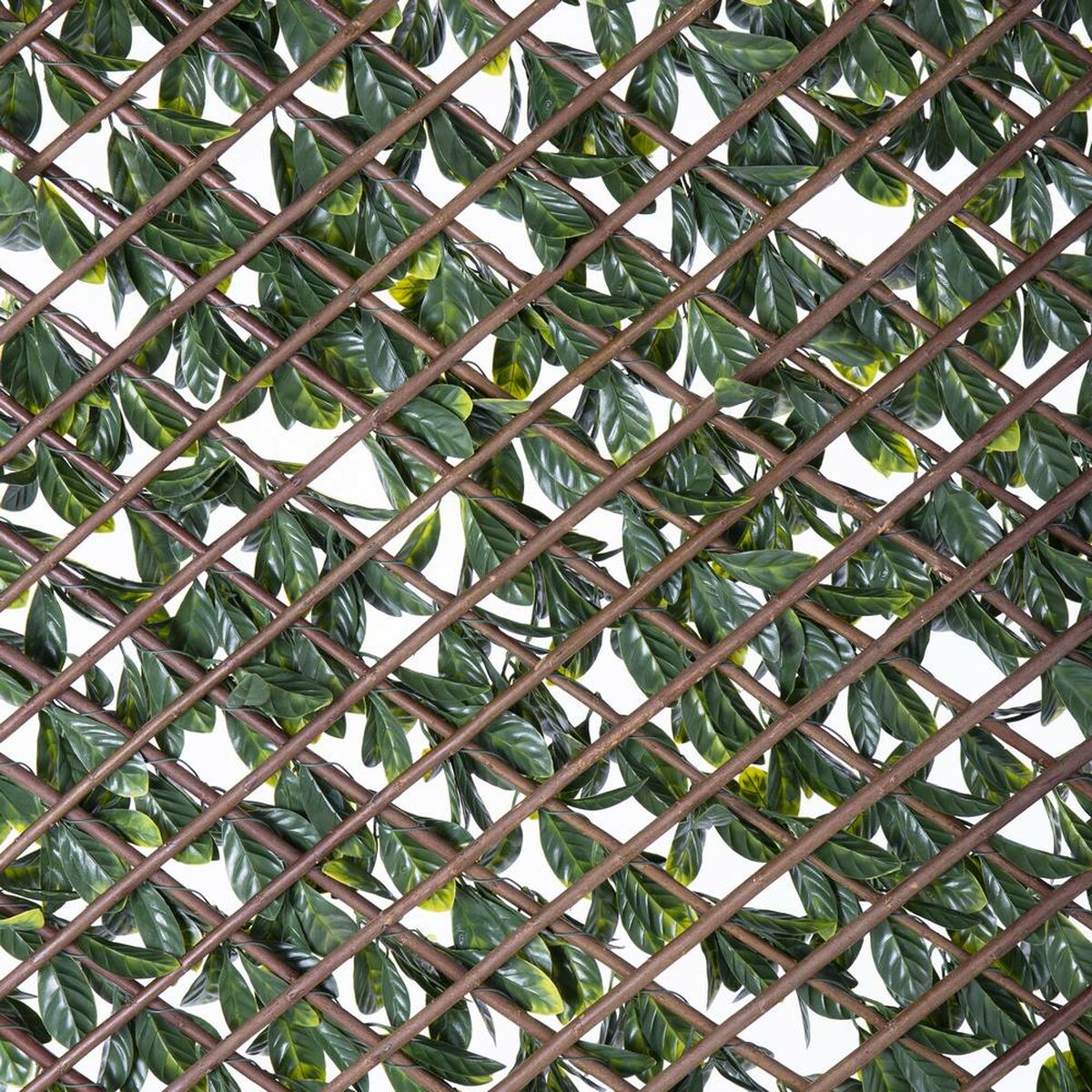Gitter Natural Murgröna vide Bambu 2 x 200 x 100 cm - 4