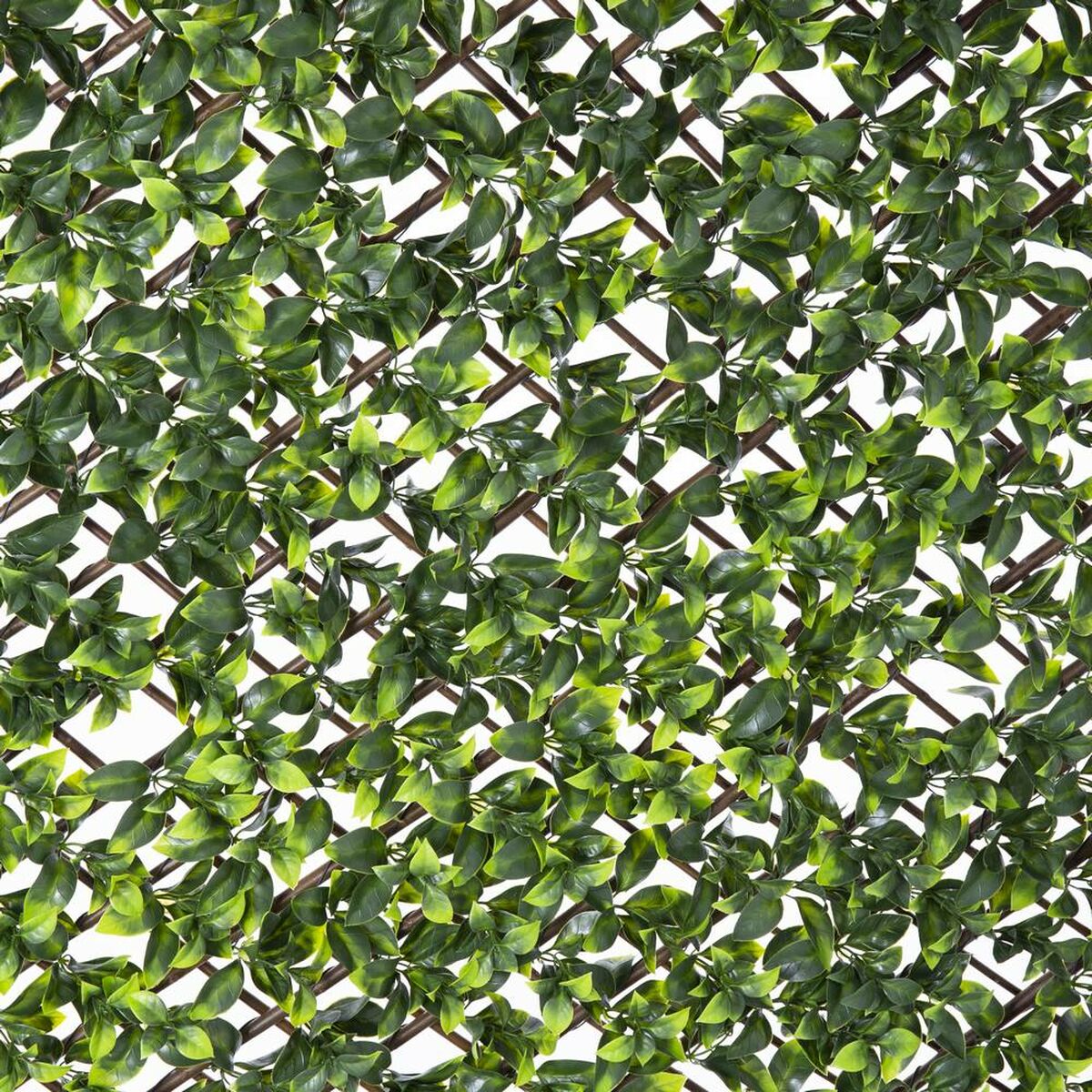 Gitter Natural Murgröna vide Bambu 2 x 200 x 100 cm - 2