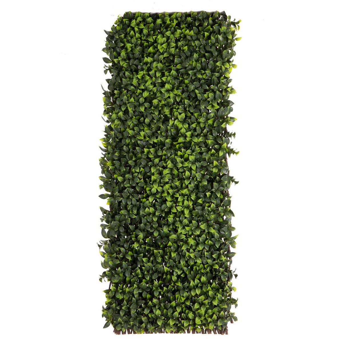 Gitter Natural Murgröna vide Bambu 2 x 200 x 100 cm - 3