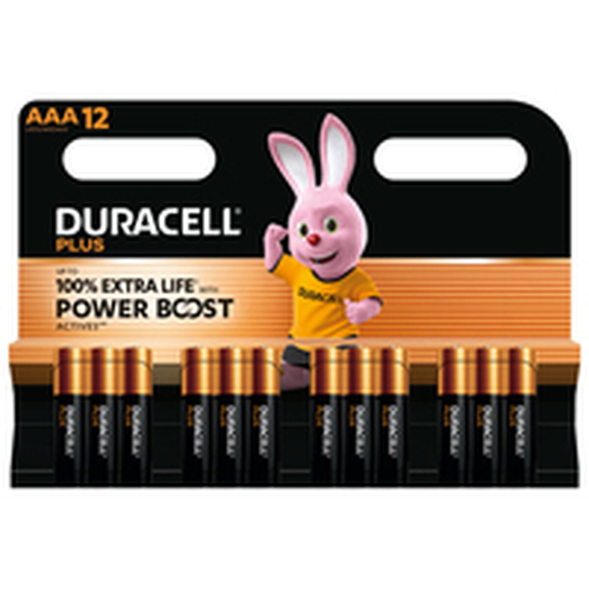 Laddningsbara Batterier DURACELL DPBLR3B12 1,5 V AAA - 3