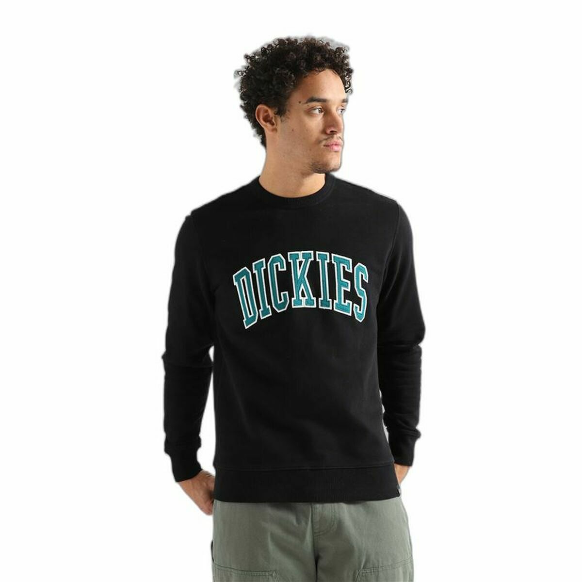 Tröja med huva Dickies Aitkin Svart - 3