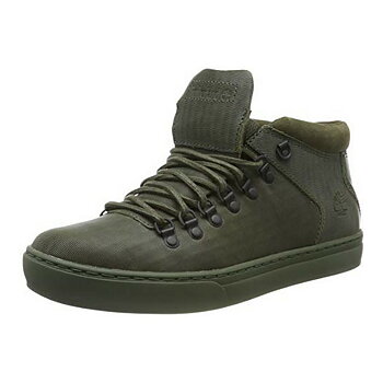 Stövlar Herr ADV 2.0 ALPINE Timberland A22MK Grön