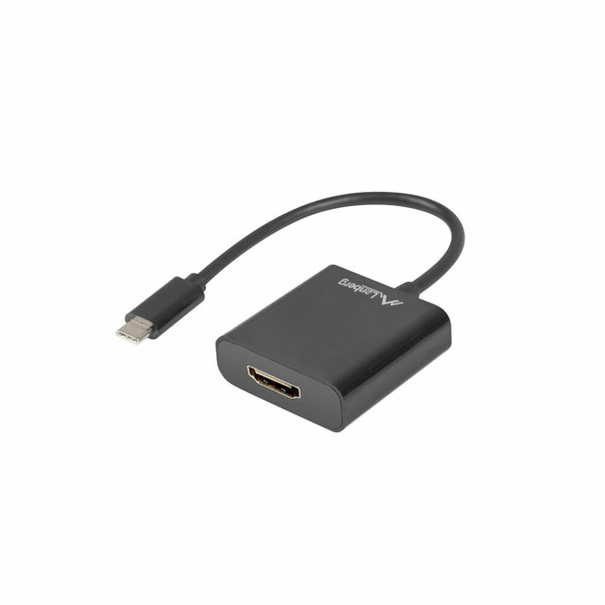 USB C till VGA Adapter Lanberg AD-UC-HD-01 - 2