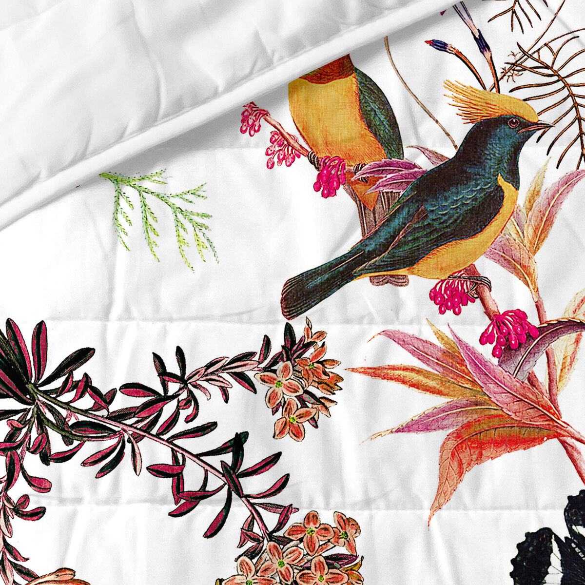 Sängöverdrag HappyFriday HF Birds of paradise Multicolour 240 x 260 cm - 3
