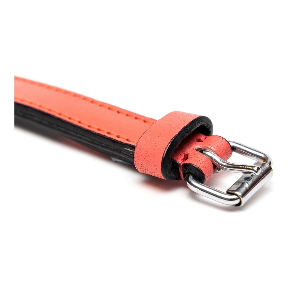 Hundhalsband Gloria Vadderad Korall (30 x 1,5 cm) - 5