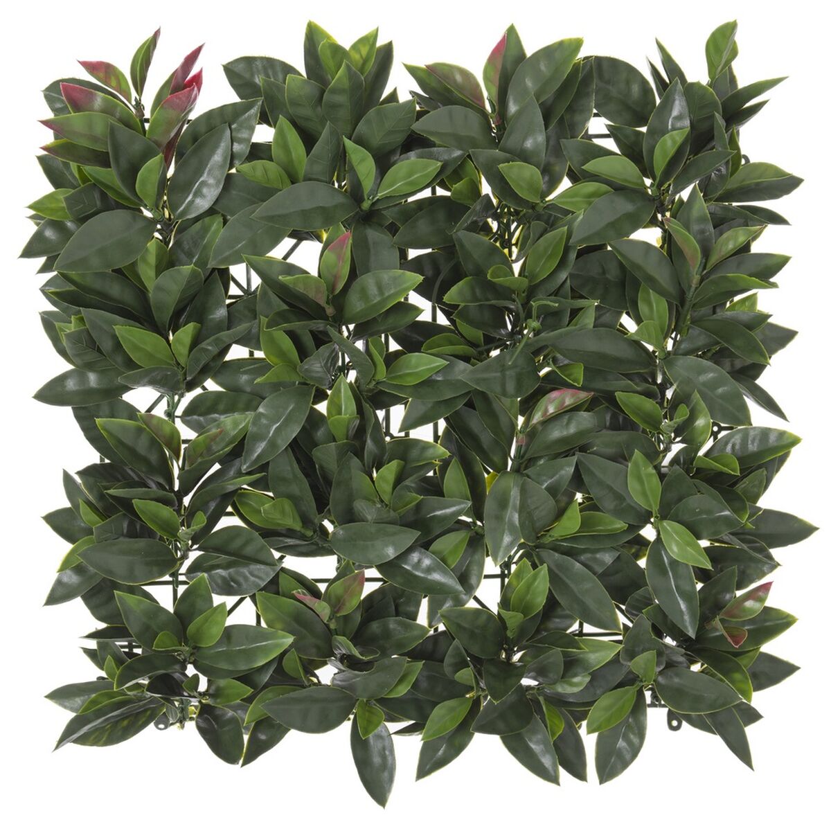 Staket   Laurel 50 x 50 x 2 cm