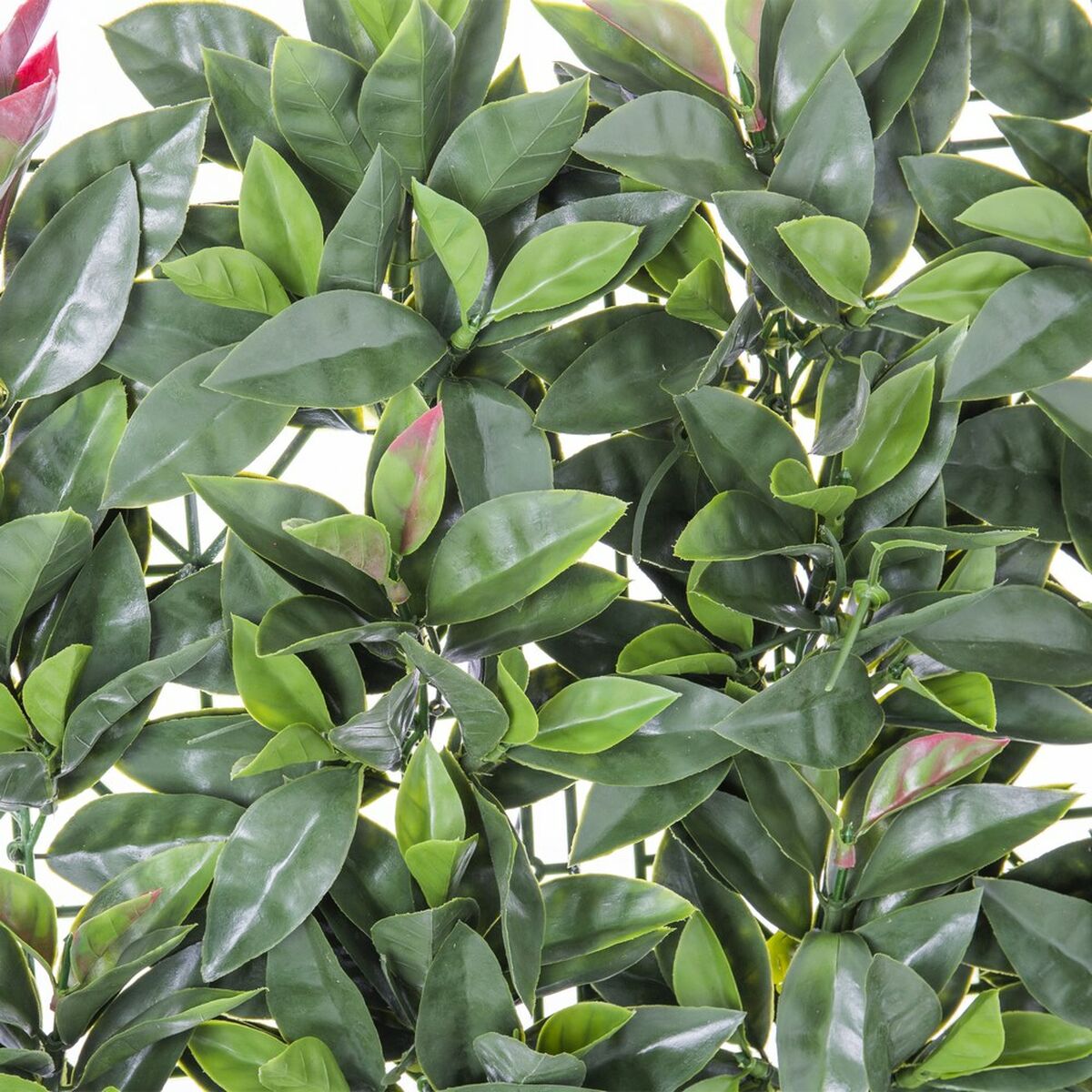 Staket   Laurel 50 x 50 x 2 cm - 2
