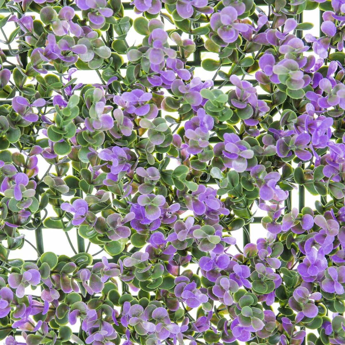 Staket   Lavendel 50 x 50 x 2 cm - 5