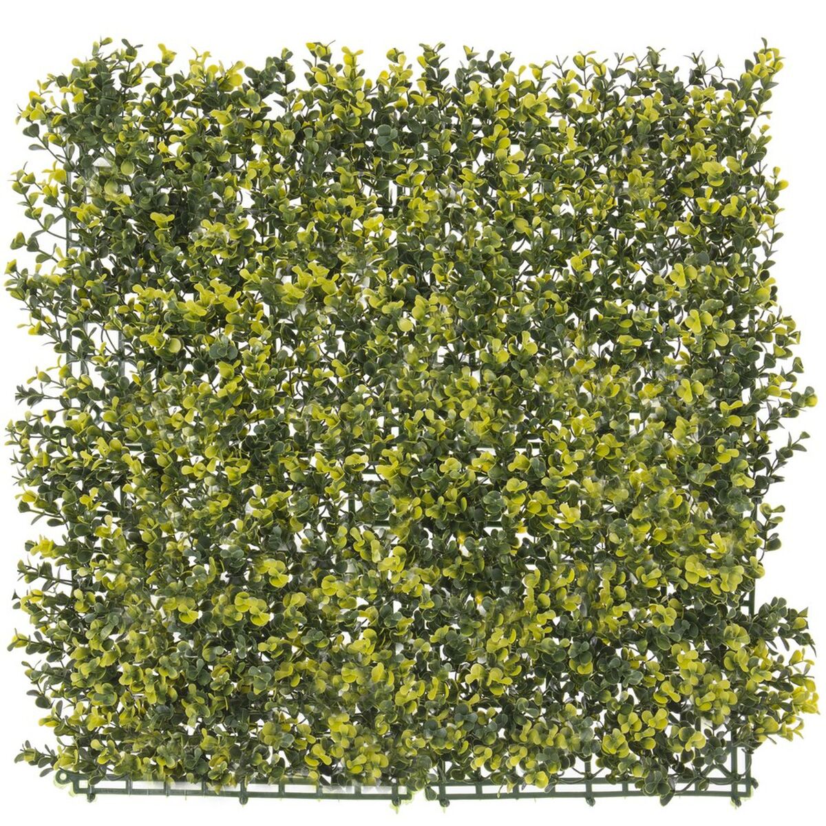 Staket   50 x 50 x 2 cm