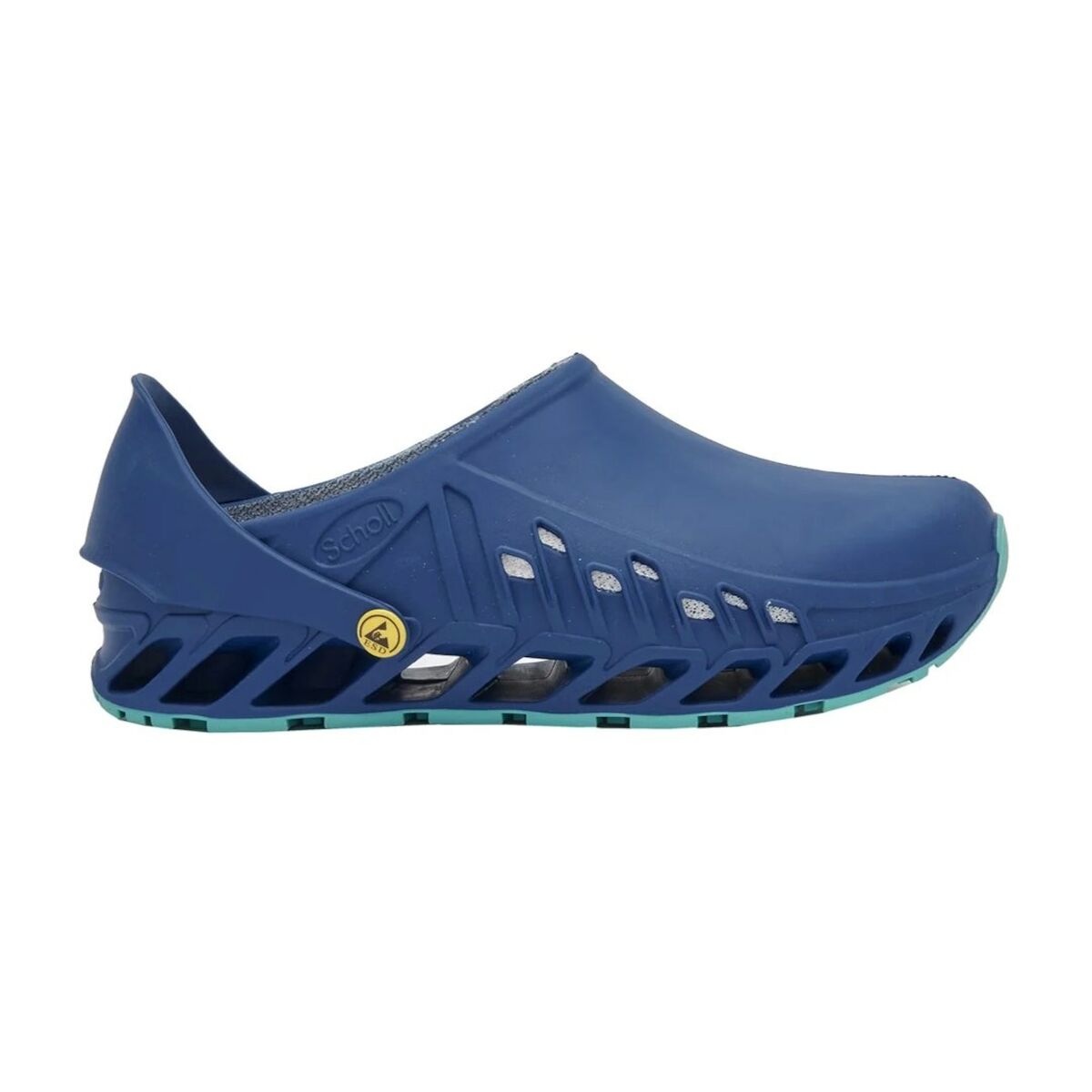 Träskor Scholl PRS098GRANAT36 36