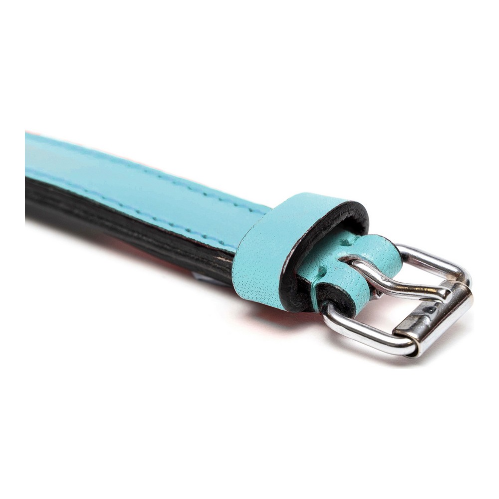 Hundhalsband Gloria Vadderad Blå (35 x 1,5 cm) - 3