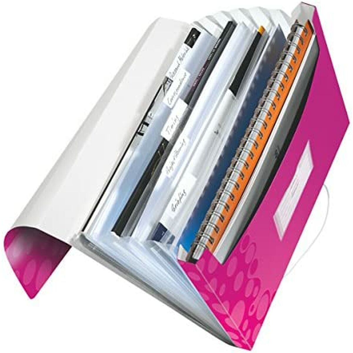 Dokumenthållare Leitz WOW Fuchsia A4 (5 antal) - 3