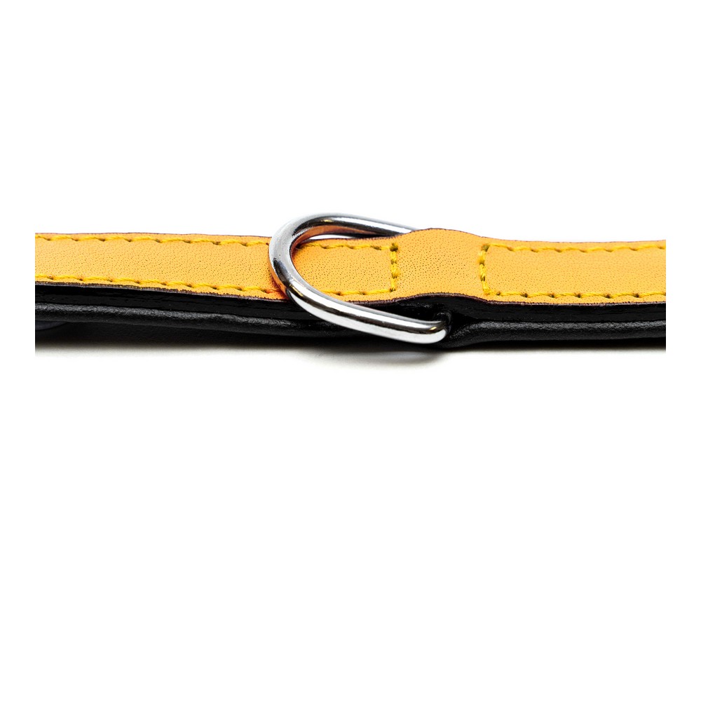 Hundhalsband Gloria Vadderad Gul (40 x 2 cm) - 3