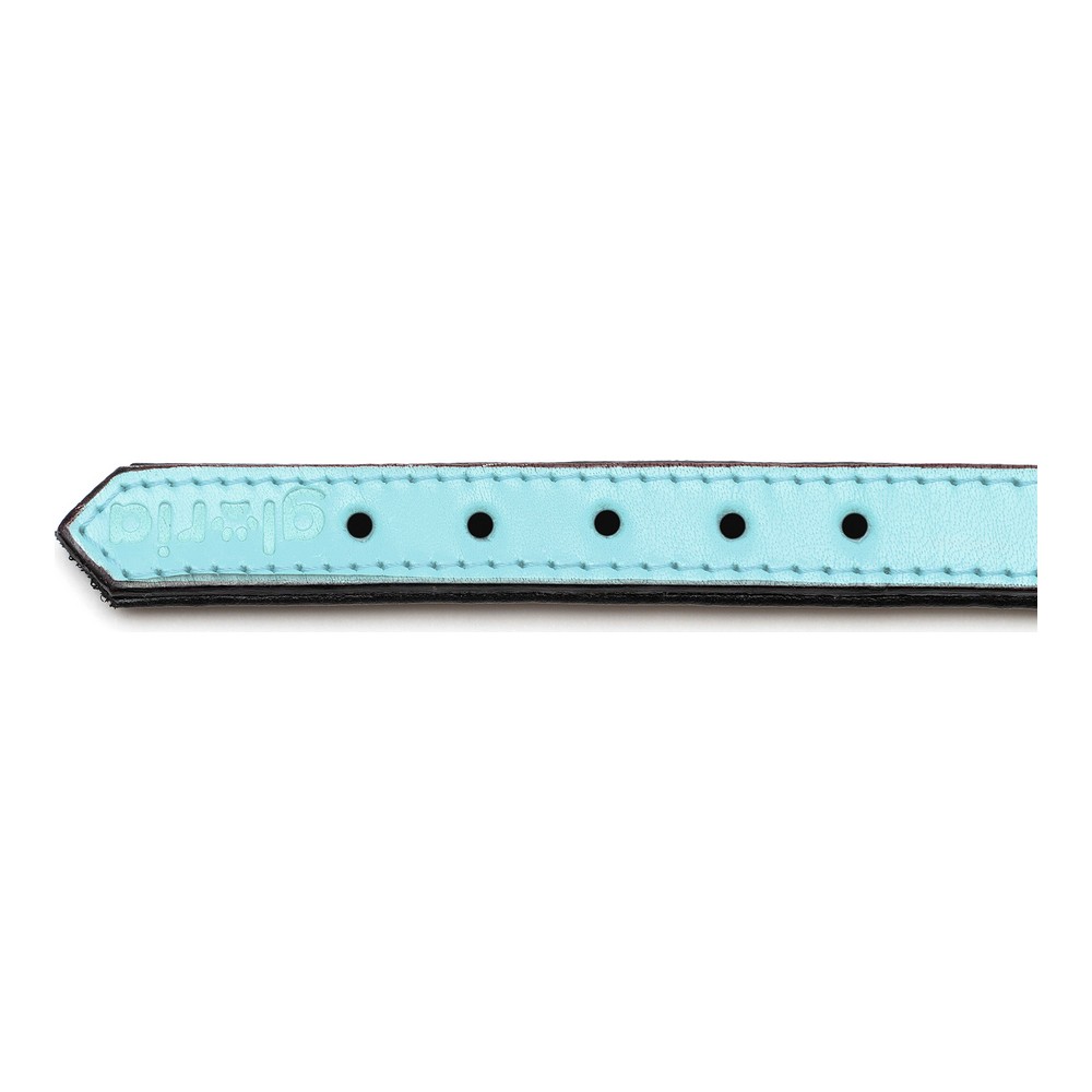Hundhalsband Gloria Vadderad Blå (40 x 2 cm) - 6