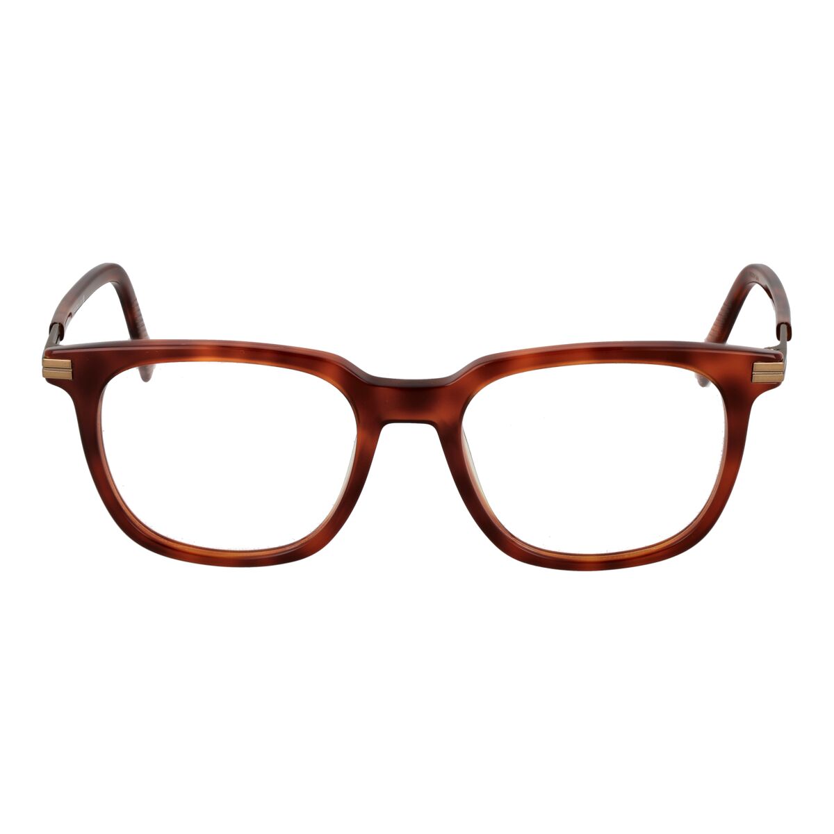 Glasögonbågar Ermenegildo Zegna EZ5273 52052 - 2