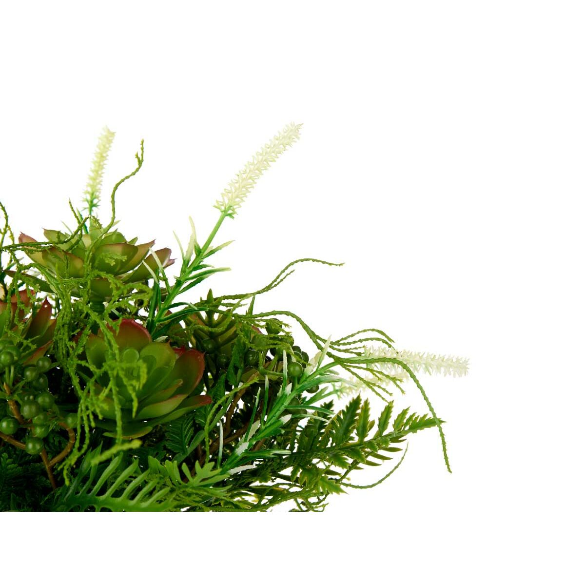 Dekorativ växt Ibergarden Plast Vinglas 21 x 30 x 21 cm 34 x 39,5 x 34 cm (6 antal) - 6