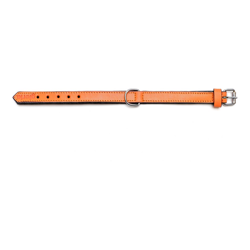 Hundhalsband Gloria Vadderad Orange (40 x 2 cm) - 7