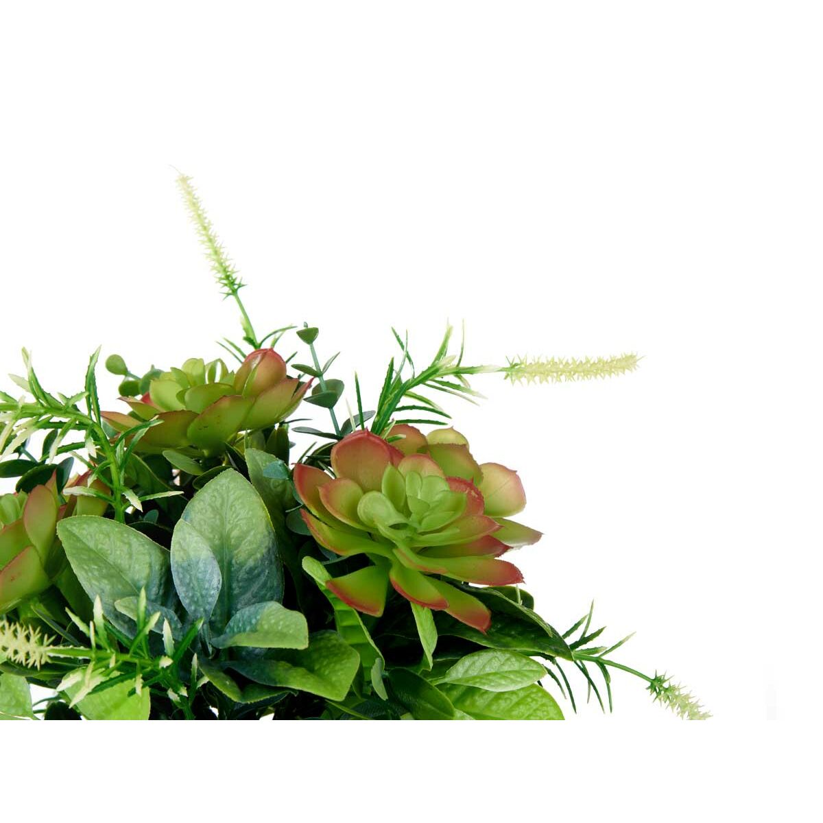 Dekorativ växt Ibergarden Plast Vinglas 25 x 36 x 25 cm (4 antal) - 6